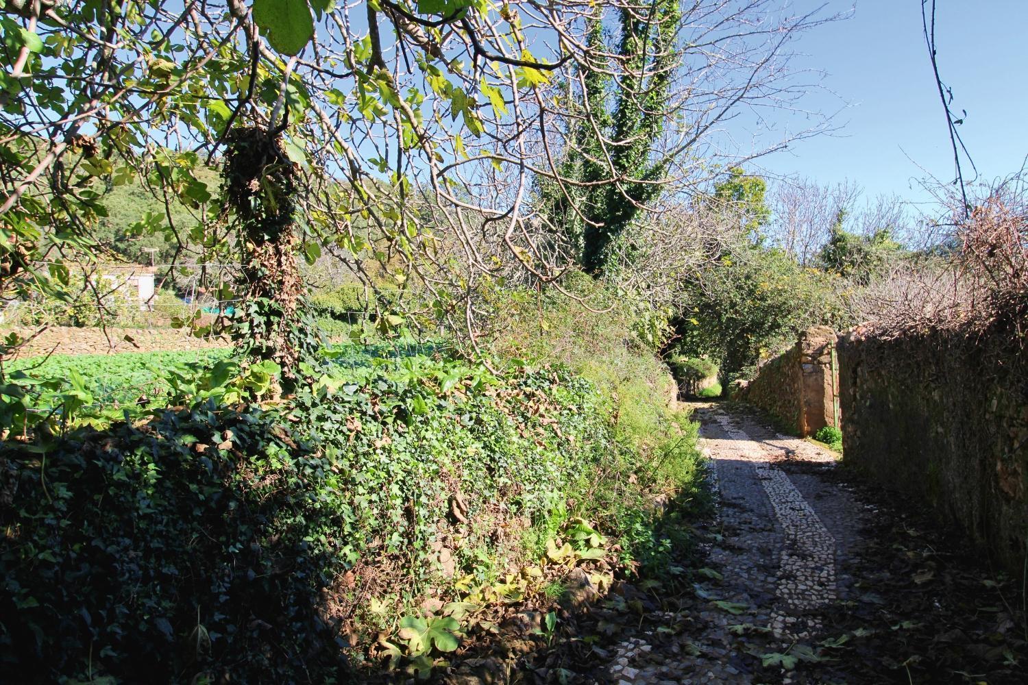 La Casita Del Bosque De Letras By Sierra Viva Ferienhaus La Presa (Huelva)